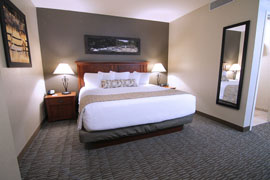 King Living Room Suite Image